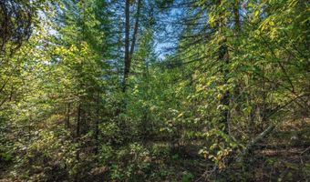 NKA Silver Creek Road, Clark Fork, ID 83811