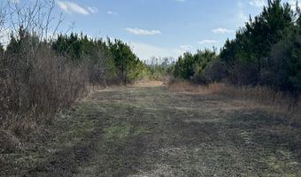 11281 Highway 21, Forest, MS 39074