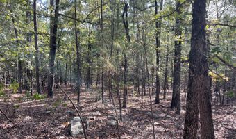 Tract 51 Highway 2, Antlers, OK 74523