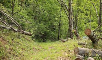 461 Reuben Wooten Rd, Banner Elk, NC 28604