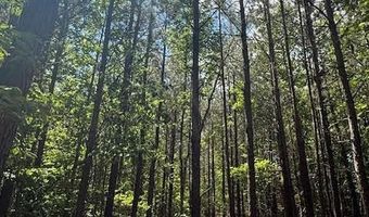 0- Lot 5 Piney Mountain Rd, Appomattox, VA 24522