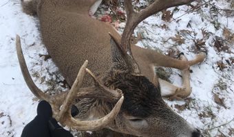 271 18 Acres Zwettler/Foster Rd, Arena, WI 53503