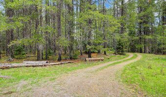 30612 Three Turtle Xing, Bigfork, MT 59911