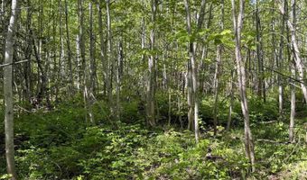 Gratiot River Road lot A, Allouez, MI 49805