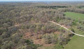 Tract 4 0000 Private Road 1184, Aurora, MO 65605