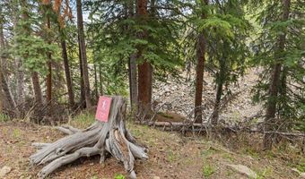 861 High Point Dr, Breckenridge, CO 80424