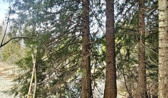 NNA Lightning Creek Rd, Clark Fork, ID 83811