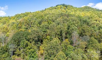 10 Dodd Rd, Barnardsville, NC 28709