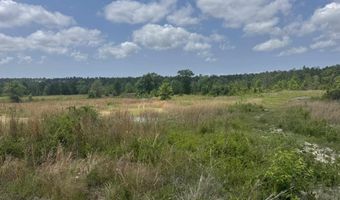 39207-1 State Highway 59, Bay Minette, AL 36507