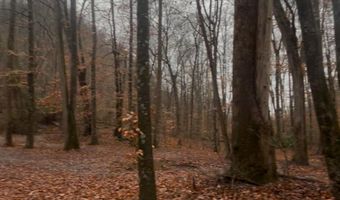 Brair Fork Road, Bean Station, TN 37708