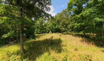 County Road 200, Alton, MO 65606