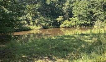 20680 Collie Rd, Andalusia, AL 36421