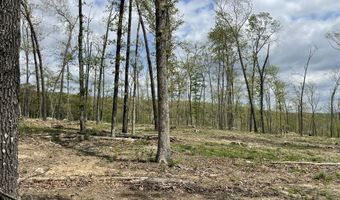 State Hwy N Tract G, Ava, MO 65608