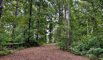 158 Fisher Turnpike Rd Lot 3, Arapahoe, NC 28510