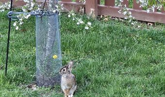 1203 ASHMEAD Sq, Belcamp, MD 21017