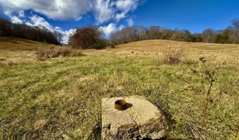 1520 Brittontown Rd, Afton, TN 37616