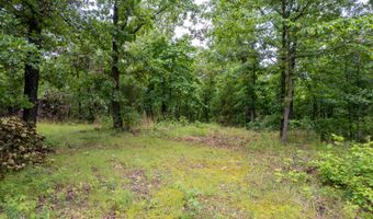 14 5 Neil Robinson Rd, Anderson, MO 64831