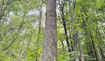 Jesse Run Rd, Arnoldsburg, WV 25234