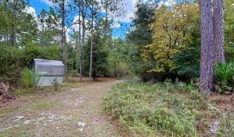 4850 NW 55th Ave, Bell, FL 32619