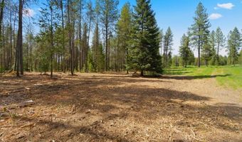 NKA 10-Ac E Parks Rd, Athol, ID 83801