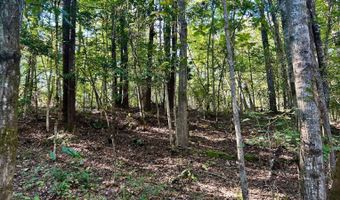 0 Lloyd Mill Rd, Andalusia, AL 36421