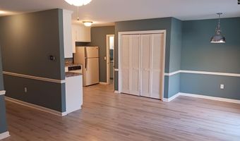 133 Tam O Shanter Dr, Blythewood, SC 29016