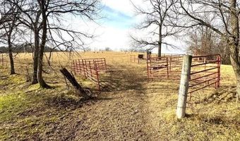 178 Acres Bug Scuffle Ln, Anderson, MO 64831