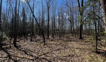 22 Acres On Willy Rd, Weyerhaeuser, WI 54895