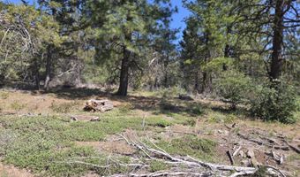Meadow Lark Drive Lot 12, Bonanza, OR 97623
