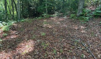 Tdb Cove Creek Rd, Bastian, VA 24314