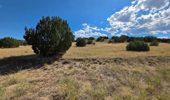 Pope Valley Ranch Rd lot 24, Beulah, CO 81023