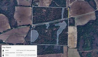 221 Ac Crestview Rd, Arlington, GA 39813