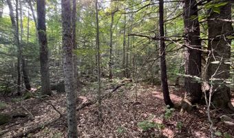 1695 Washburn Rd, Alexandria, NH 03222