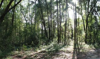 15821 SW 50TH Ave, Archer, FL 32618