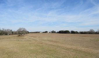 993 Broadway Ave, Ashford, AL 36312