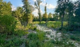 BLK 211 Vancouver Drive lot 21, Alford, FL 32420