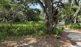 18251 Persimmon Ridge Rd, Alva, FL 33920