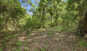 Hilton Trail, Baker, FL 32531