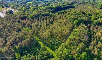 425 Rose Hill Rd, Bentonia, MS 39040