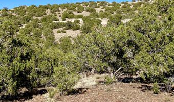 Tbd Co Rd 5062 Lot 1 3.53 Acres, Concho, AZ 85924