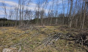 295 Shellstone Rd, Amsterdam, NY 12010