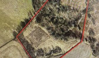 8981 Woodburn Allen Springs Rd, Alvaton, KY 42122