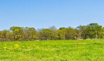 1285 County Road 1540, Alba, TX 75410