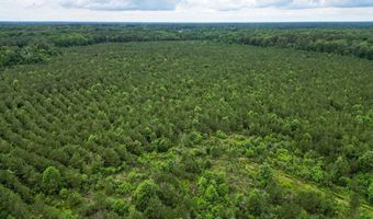 7400 Amon Hill Rd, Bastrop, LA 71220