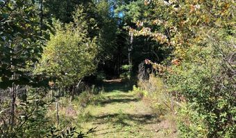 Banwell Road, Alanson, MI 49706