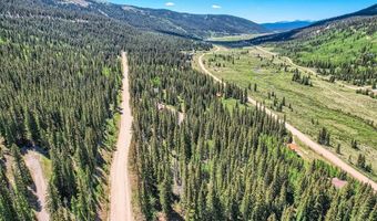 553 Nuthatch Dr Lot 18, Alma, CO 80440