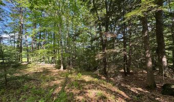 Peaked Hill Road, Bristol, NH 03222
