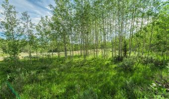 TRACT 14 SPRING HOLLOW ROAD, Daniel, WY 83115