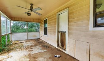 6297 S Fm 3465, Adkins, TX 78101