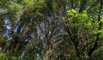 5301 NW COUNTY ROAD 235, Alachua, FL 32615